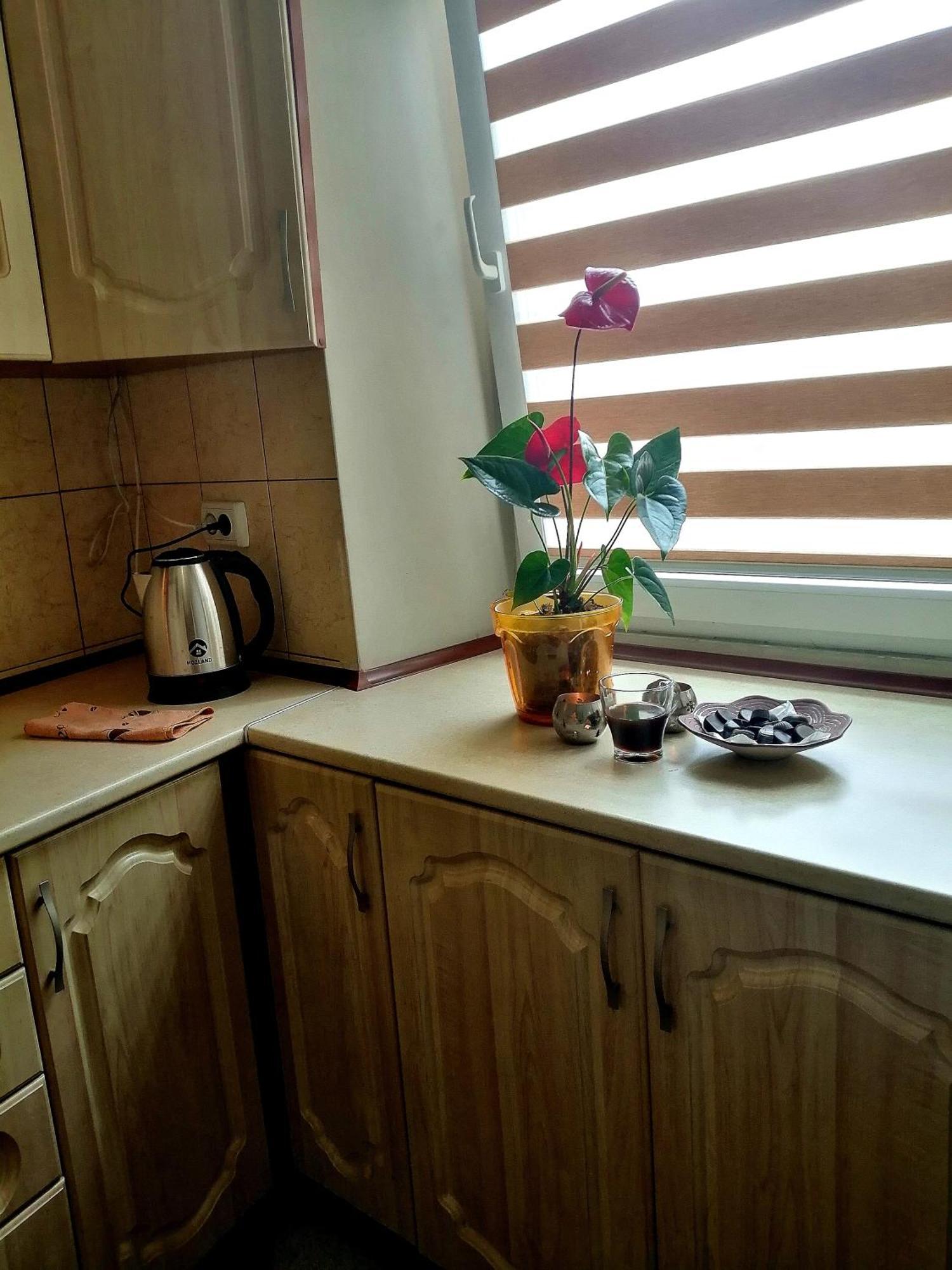 Flat On Sheptytskykh Apartment Lviv Ngoại thất bức ảnh
